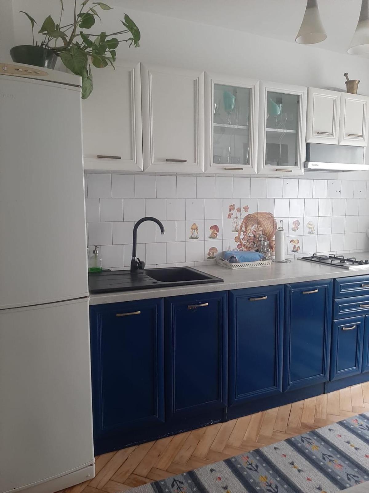 קלוז'-נאפוקה Mari&Vio Apartment מראה חיצוני תמונה