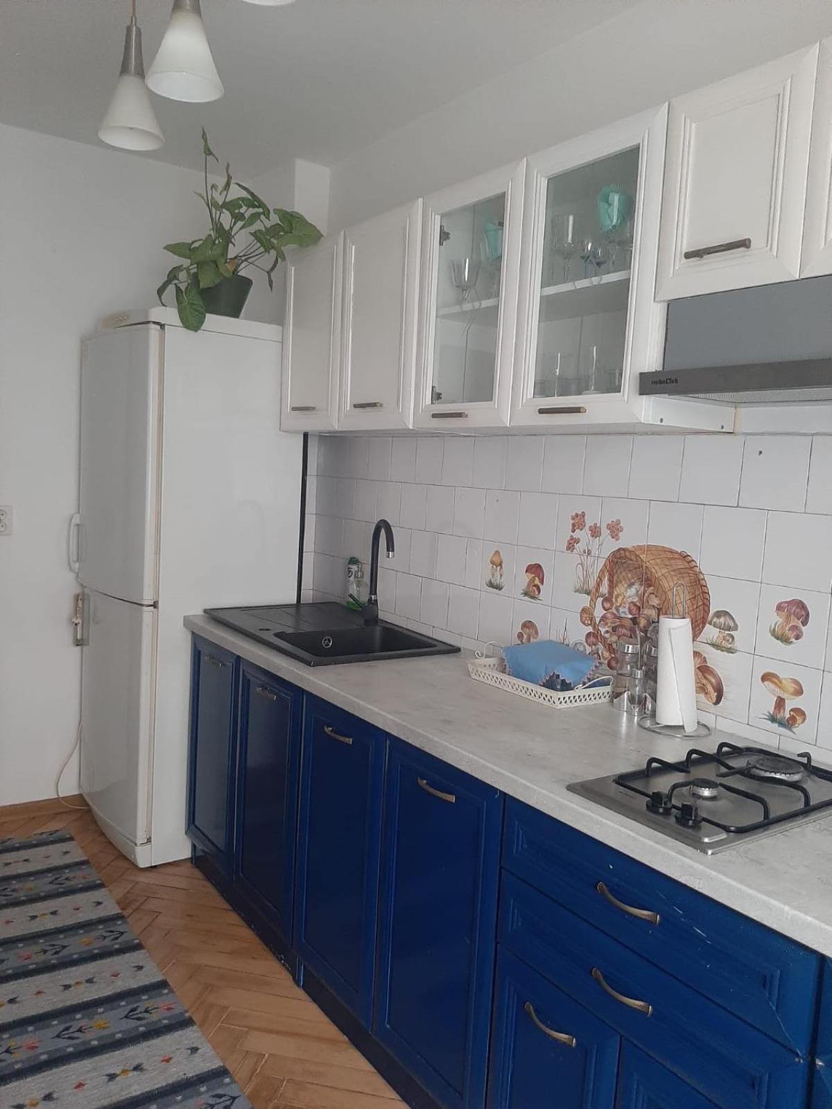 קלוז'-נאפוקה Mari&Vio Apartment מראה חיצוני תמונה